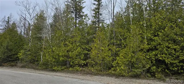 VL Lot 332 Balsam, Presque Isle, MI 49777