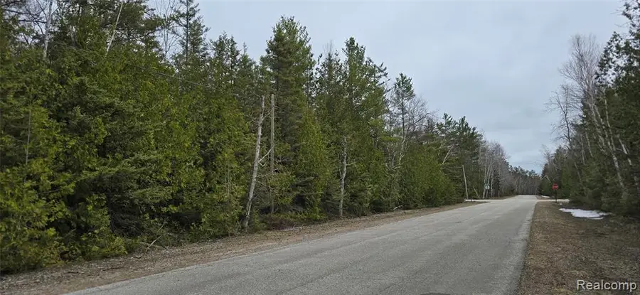 VL Lot 332 Balsam, Presque Isle, MI 49777 - #2