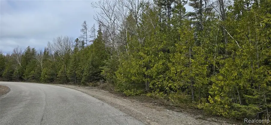 VL Lot 332 Balsam, Presque Isle, MI 49777 - #3