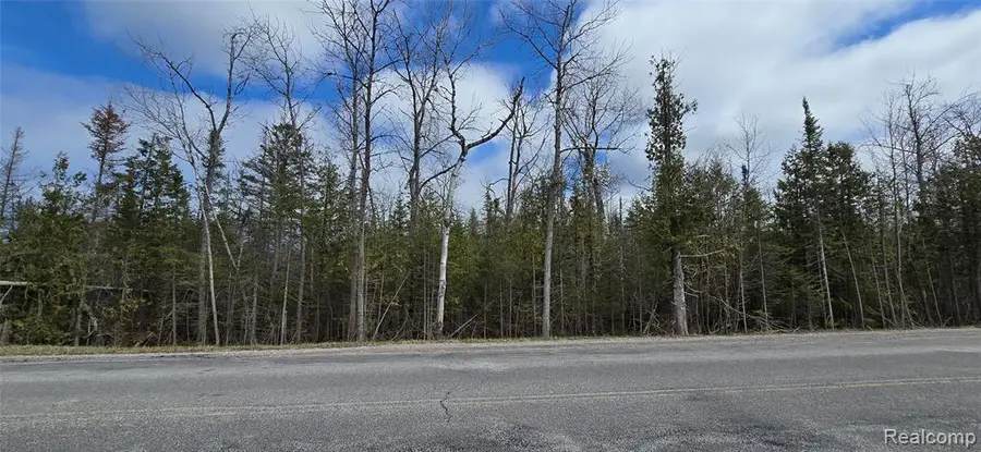 VL E Co Rd 638, Posen, MI 49776 - #3