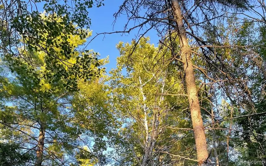 VL Grand Island, Presque Isle, MI 49777 - #3