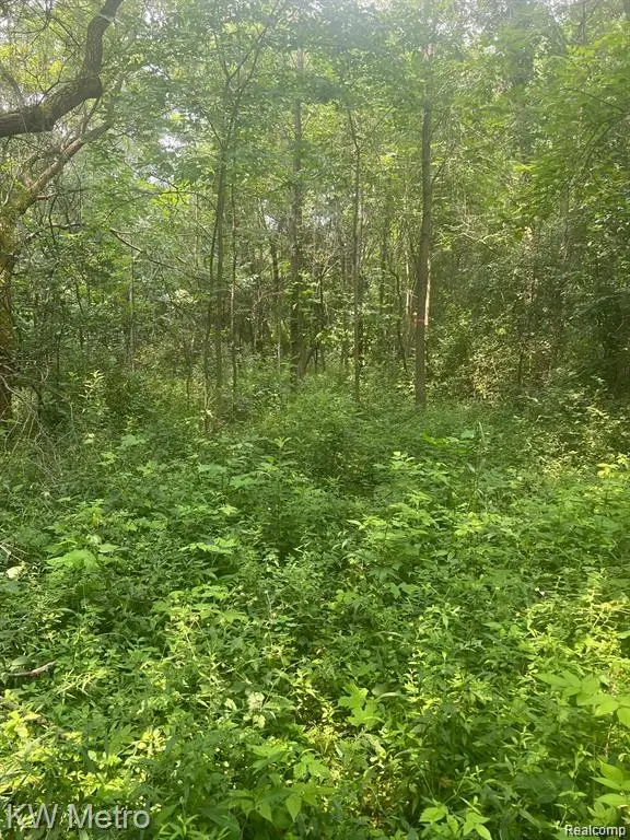 1135 N Baldwin, Oxford, MI 48371 - #2