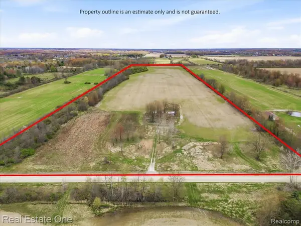 2320 Braidwood, Riley, MI 48041