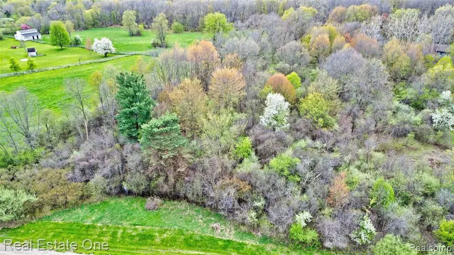 590 Judi Ann, Holly, MI 48442 - #3