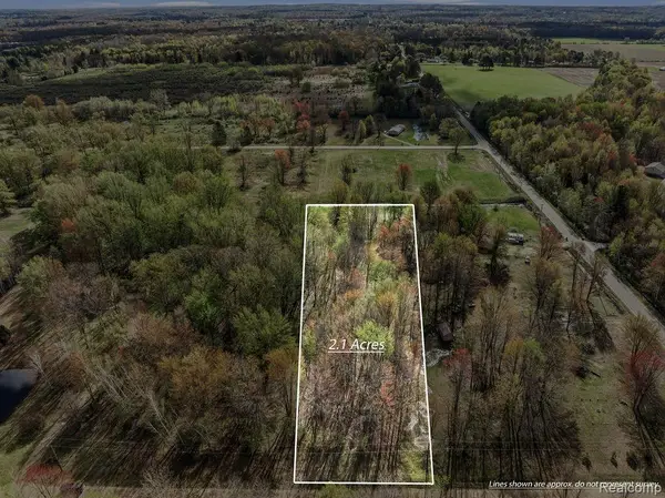 #0102 V/L Natures Trail, Vassar, MI 48768