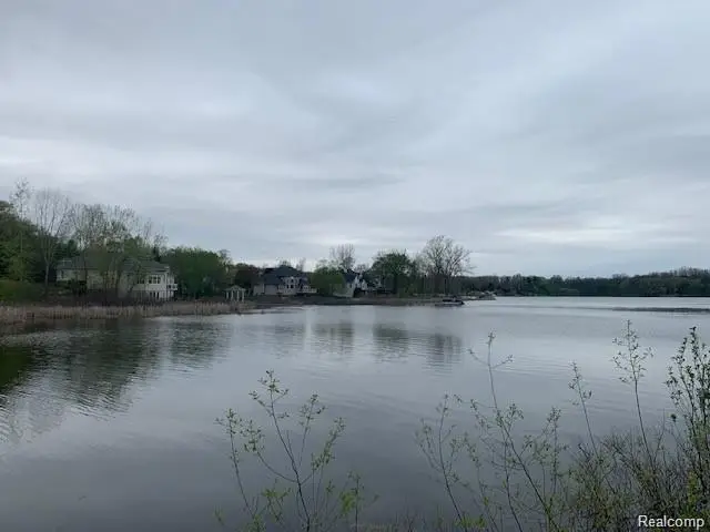 16126 Scenic View, Linden, MI 48451 - #1