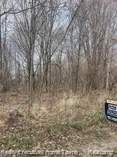3183 Blackheath, Port Huron, MI 48060 - #1