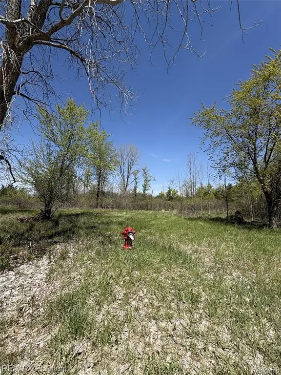 Parcel 6 Fisher Road, Howell, MI 48855 - #1
