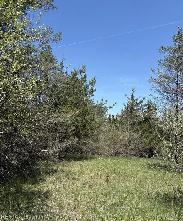 Parcel 3 Pineway Trail, Howell, MI 48855 - #2