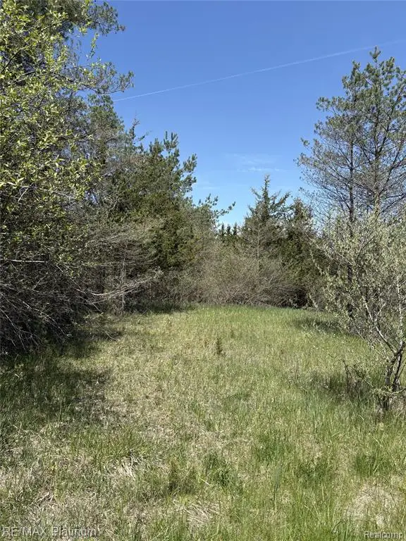 Parcel 7 Fisher Road, Howell, MI 48855 - #2