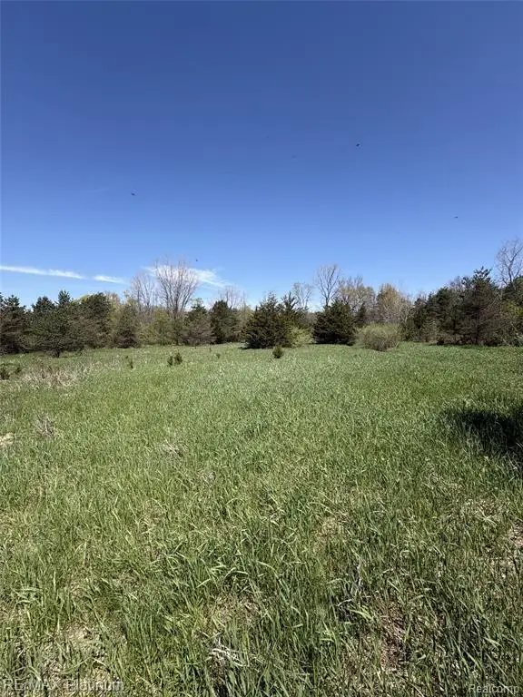 Parcel 2 Pineway Trail, Howell, MI 48855 - #2