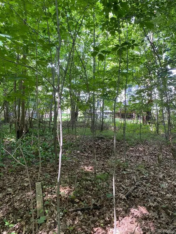 21351 Whitlock, Farmington Hills, MI 48336 - #2