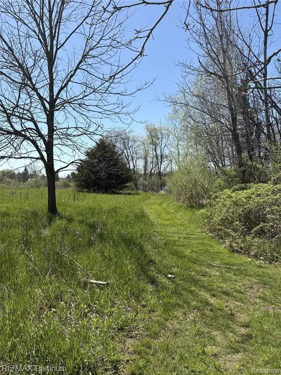 Parcel 1 Edgemont Drive, Howell, MI 48855 - #3