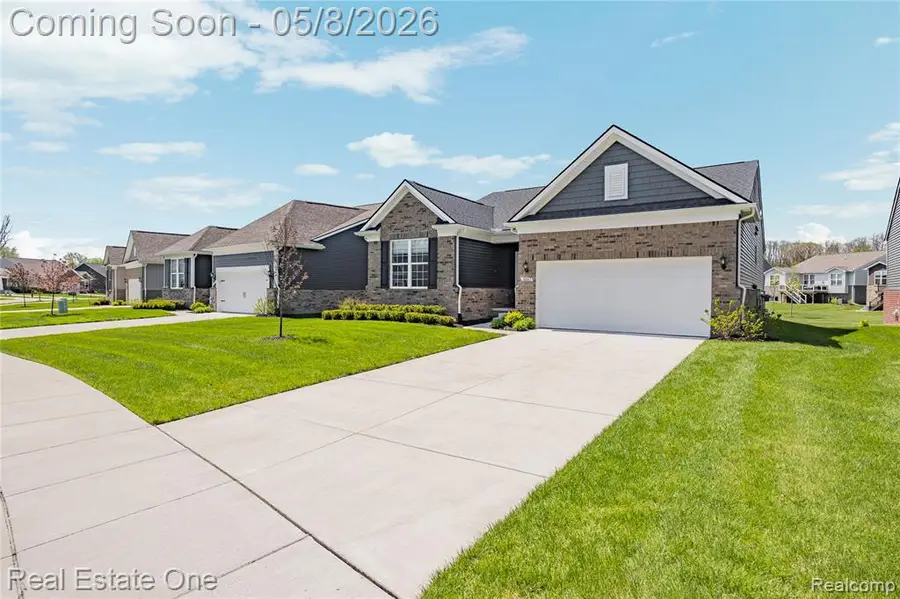 30067 Turtle Creek, New Hudson, MI 48165 - #3