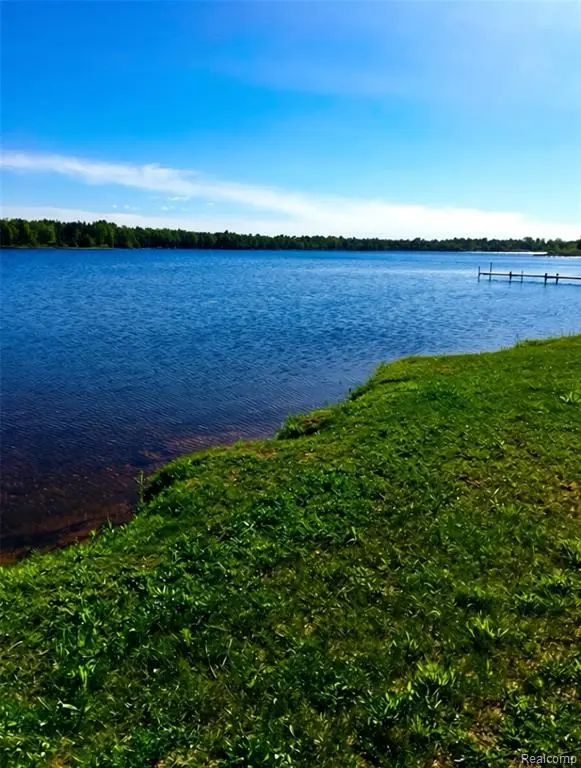 32993 W Birch Shores, Trout Lake, MI 49793 - #1