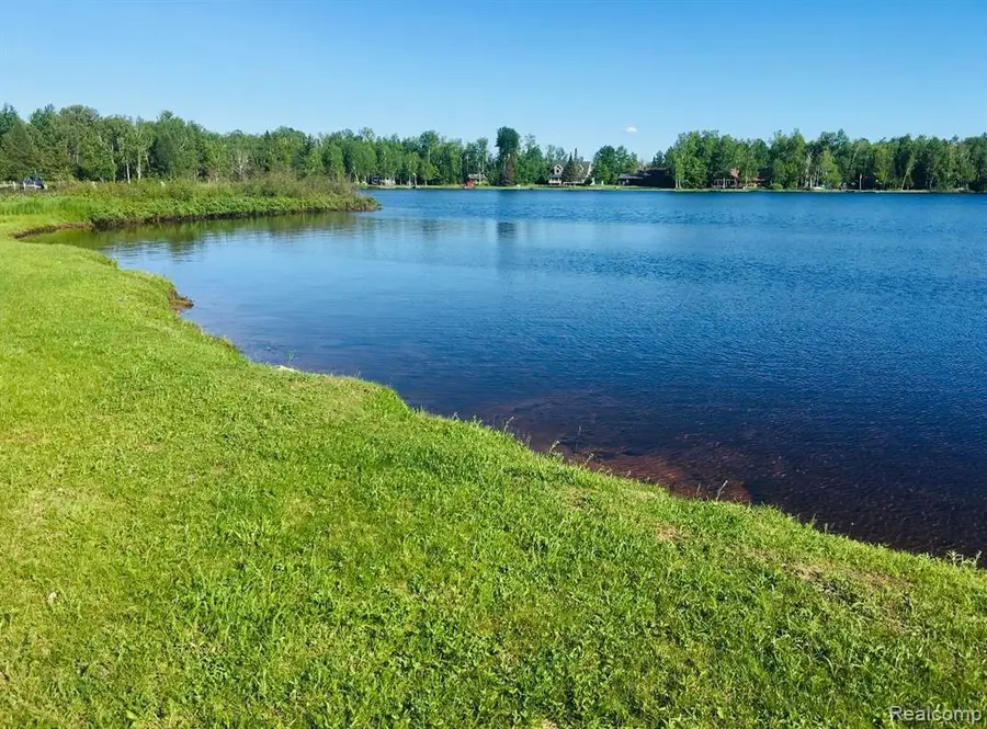 32993 W Birch Shores, Trout Lake, MI 49793 - #2