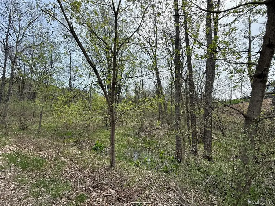 Lot 66 Preserve, Fenton, MI 48430 - #2