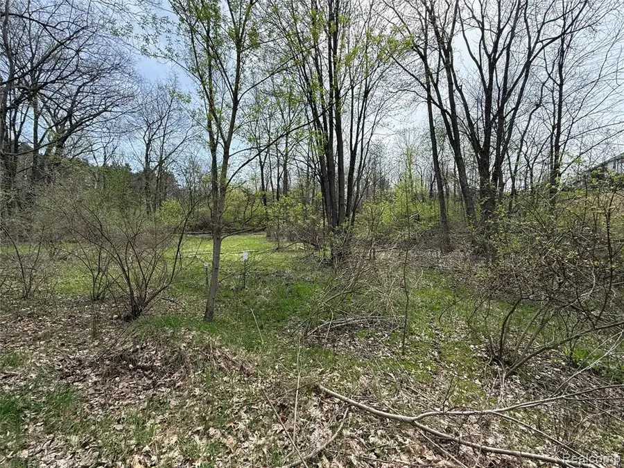 Lot 66 Preserve, Fenton, MI 48430 - #3