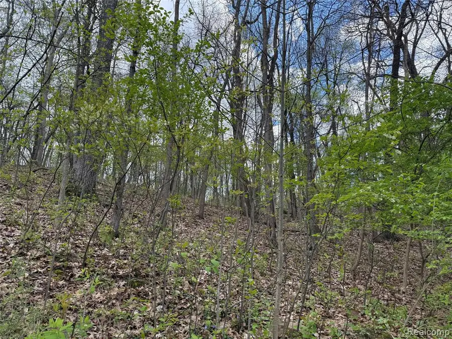 Lot 25 Hidden Ridge, Fenton, MI 48430 - #3