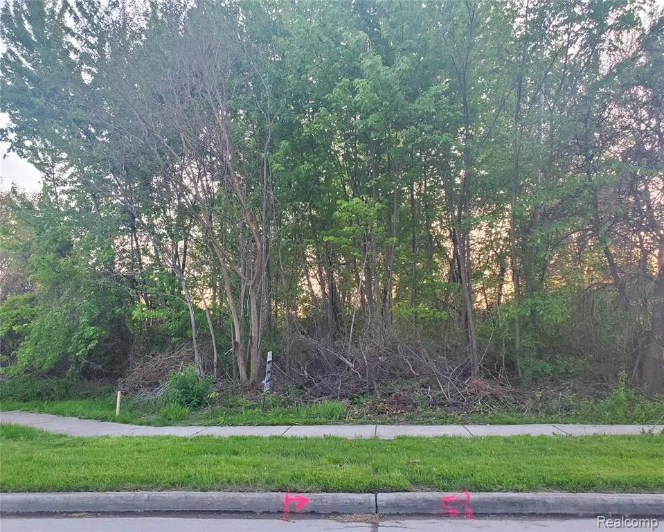 14290 Reeck, Southgate, MI 48195 - #1