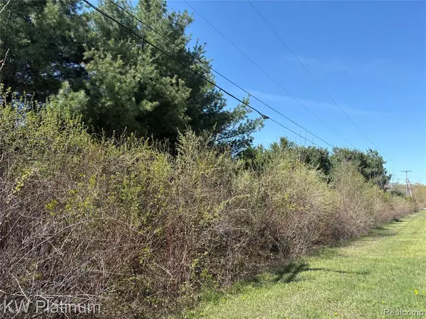 0 North Road, Burtchville, MI 48059
