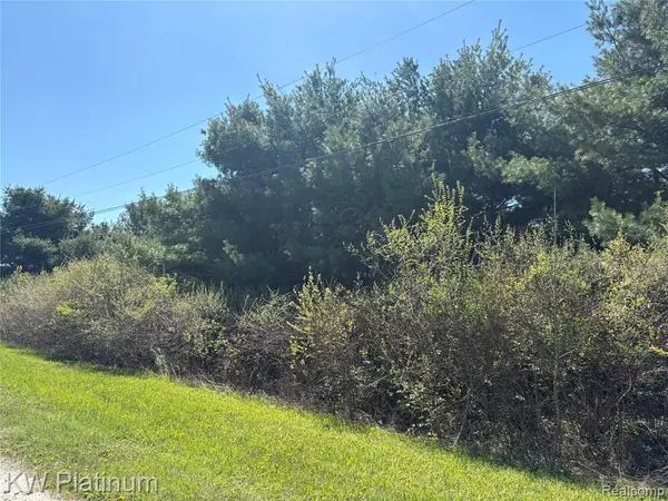 Parcel C Wicha, Burtchville, MI 48059