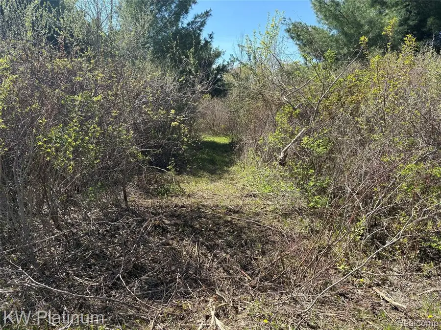 Parcel B V/l Wicha, Burtchville, MI 48059 - #2