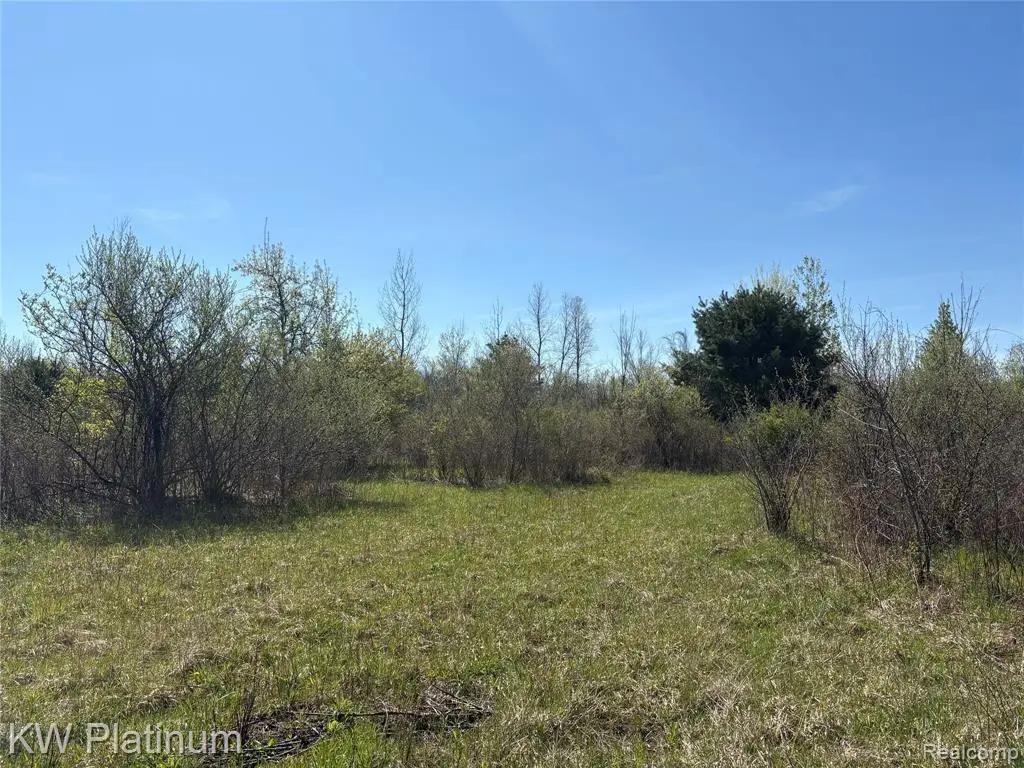 Parcel C Wicha, Burtchville, MI 48059 - #1