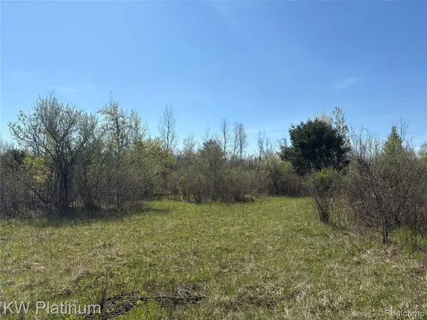 Parcel B V/l Wicha, Burtchville, MI 48059