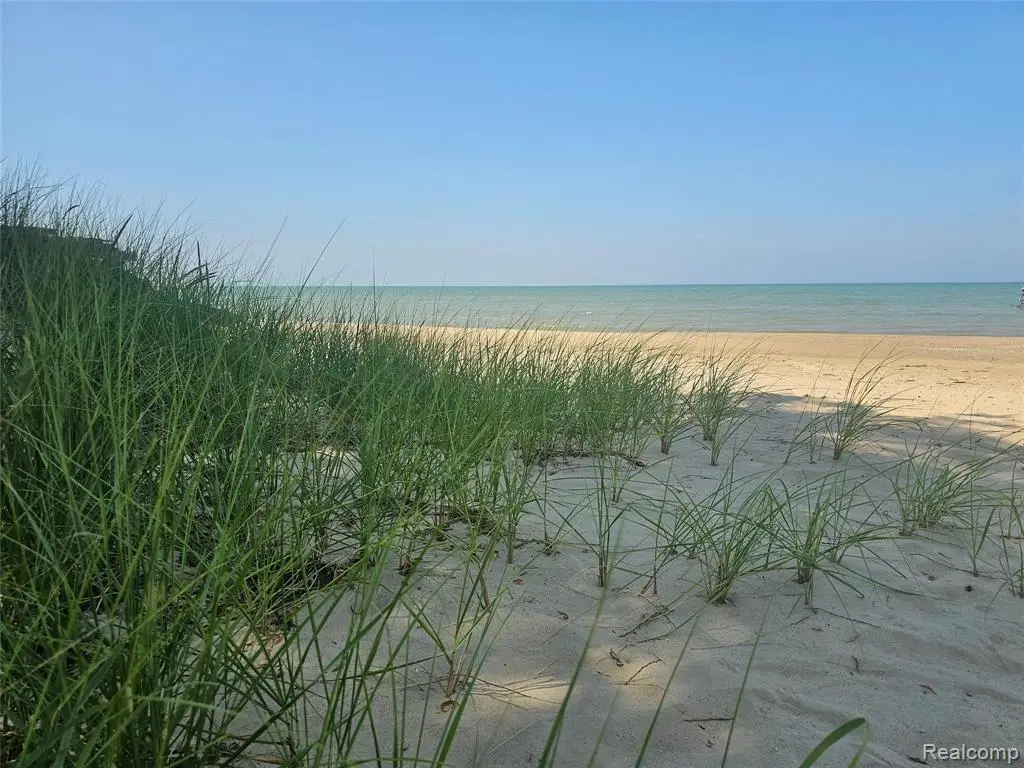 4682 Port Austin, Caseville, MI 48725 - #1