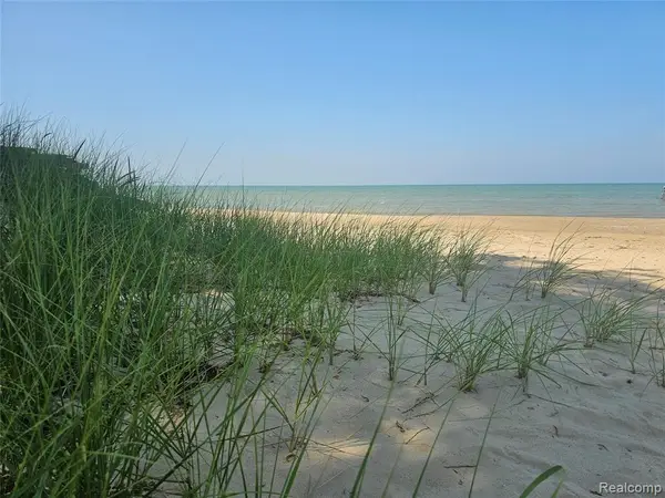 4682 Port Austin, Caseville, MI 48725