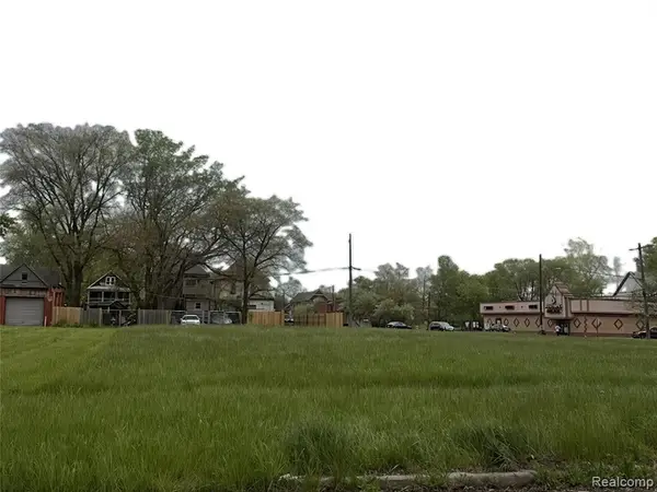 1502 Casgrain, Detroit, MI 48209