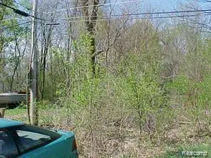 1 Ideal Pl, Whitmore Lake, MI 48189 - #1