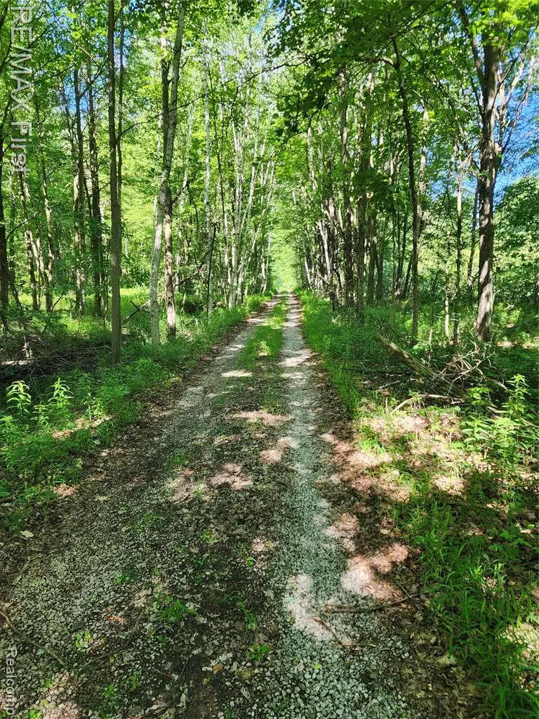 0 Vacant Land W Olsen, Sanford, MI 48657 - #2