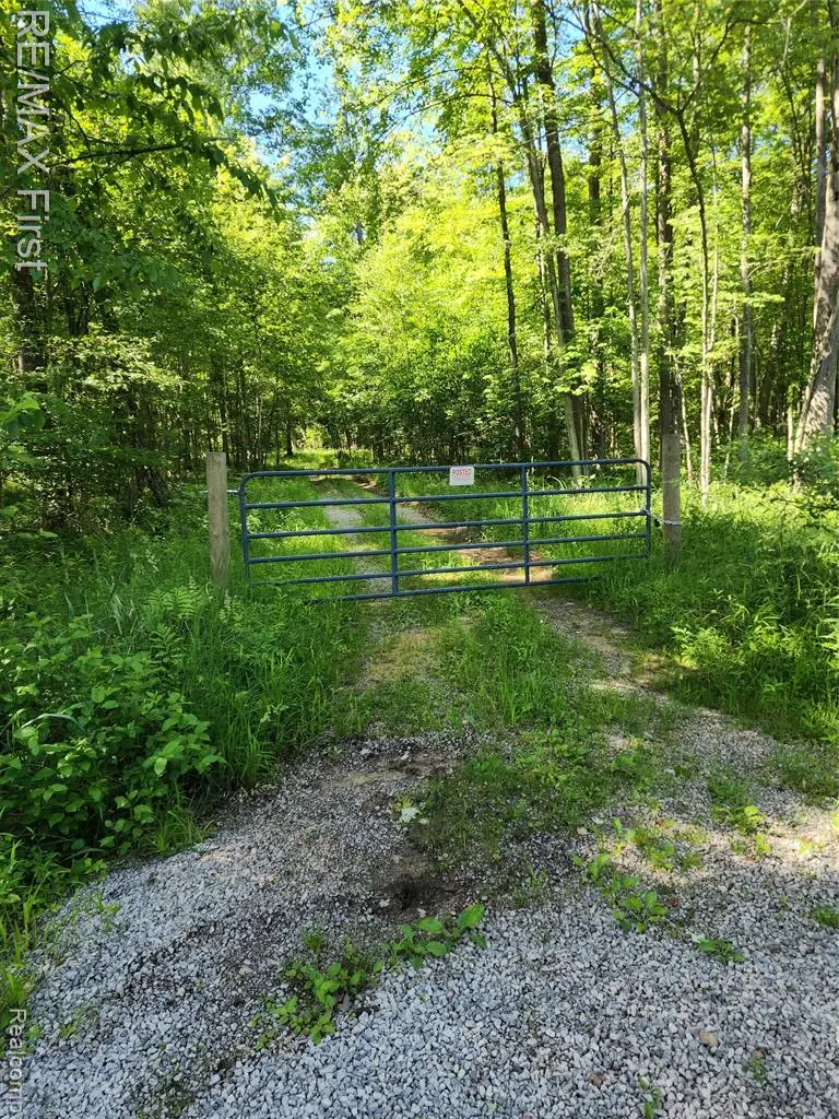 0 Vacant Land W Olsen, Sanford, MI 48657 - #3