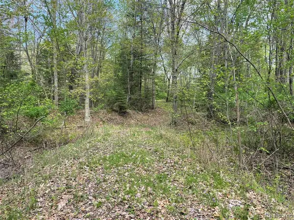 NA Oakridge, Au Gres, MI 48703