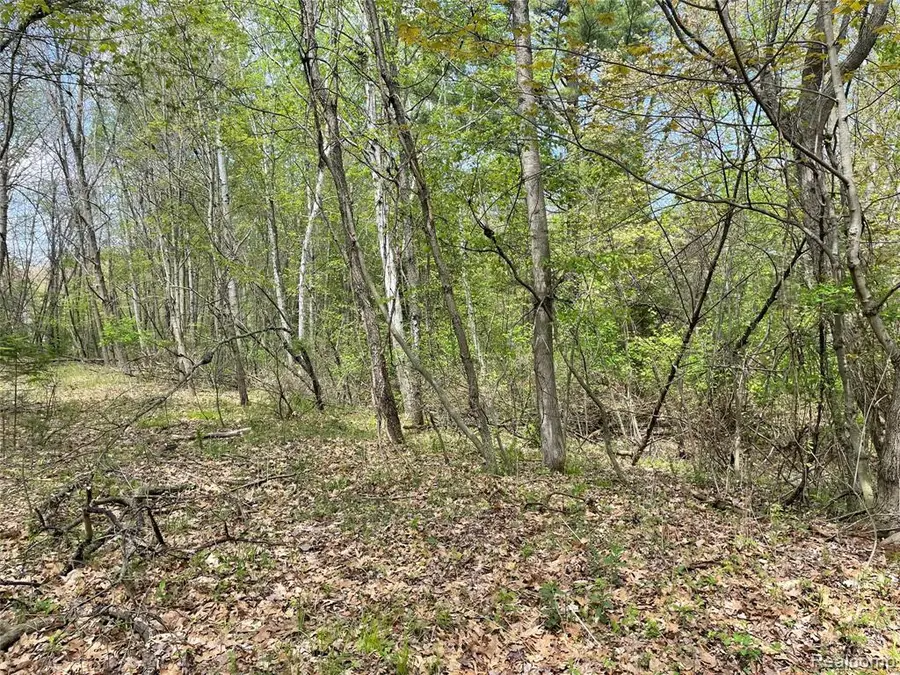 NA Oakridge, Au Gres, MI 48703 - #2
