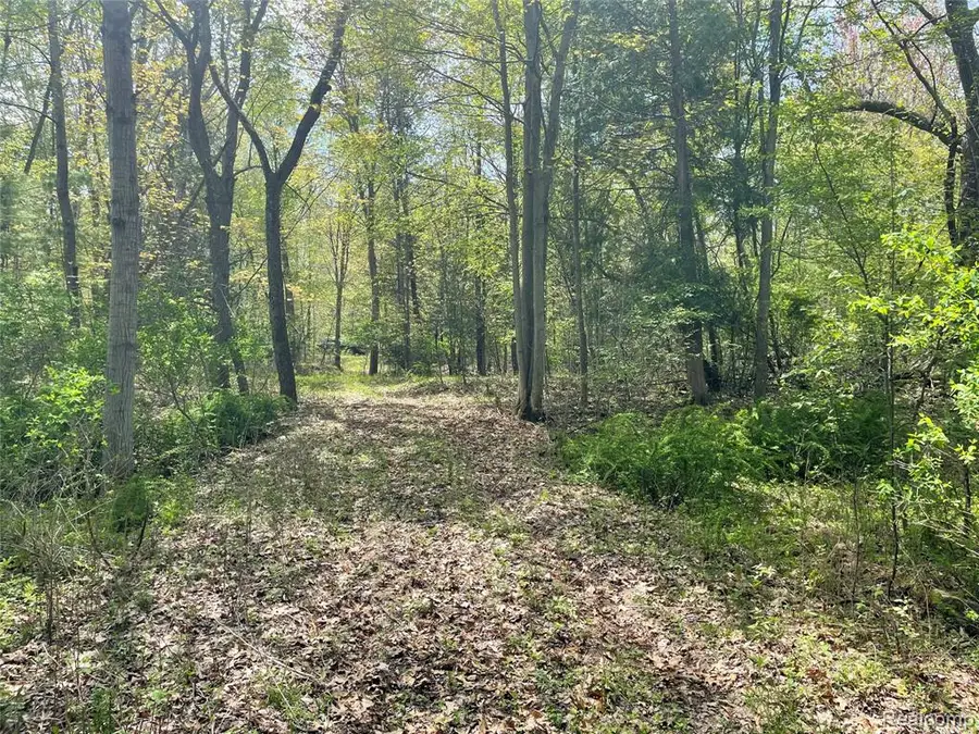 NA Oakridge, Au Gres, MI 48703 - #3