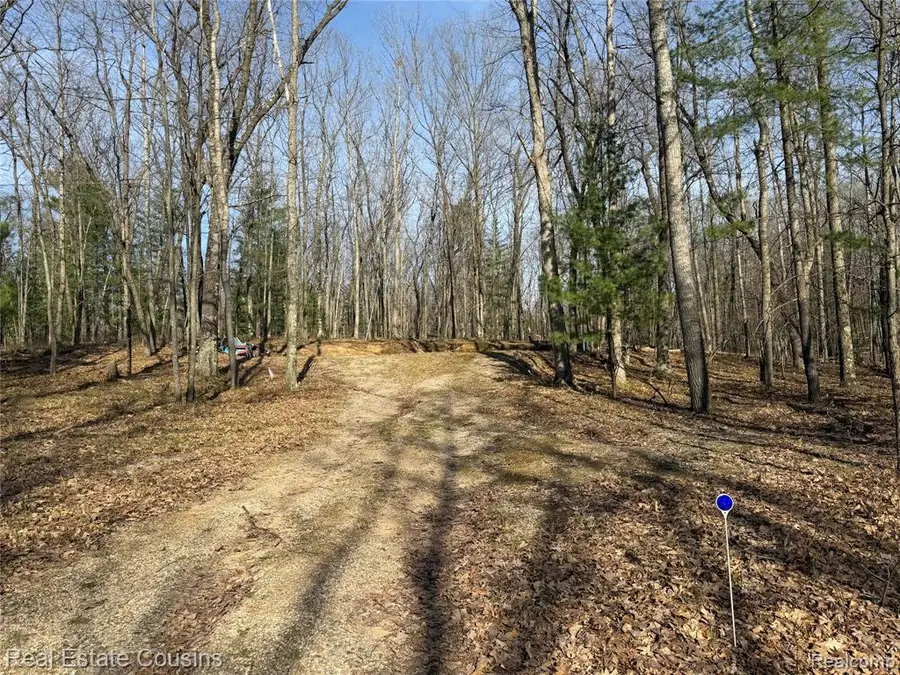 4701 Lake, Farwell, MI 48622 - #2