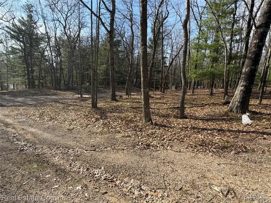 4701 Lake, Farwell, MI 48622 - #3