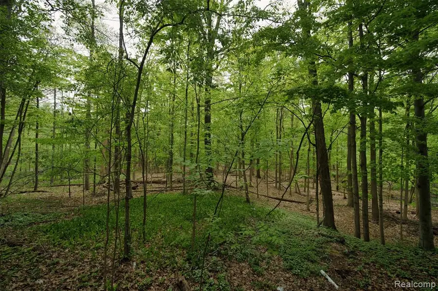 25201 Briarwyke, Farmington Hills, MI 48336 - #2