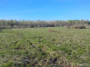 0 19 Mile, Rudyard, MI 49780 - #2