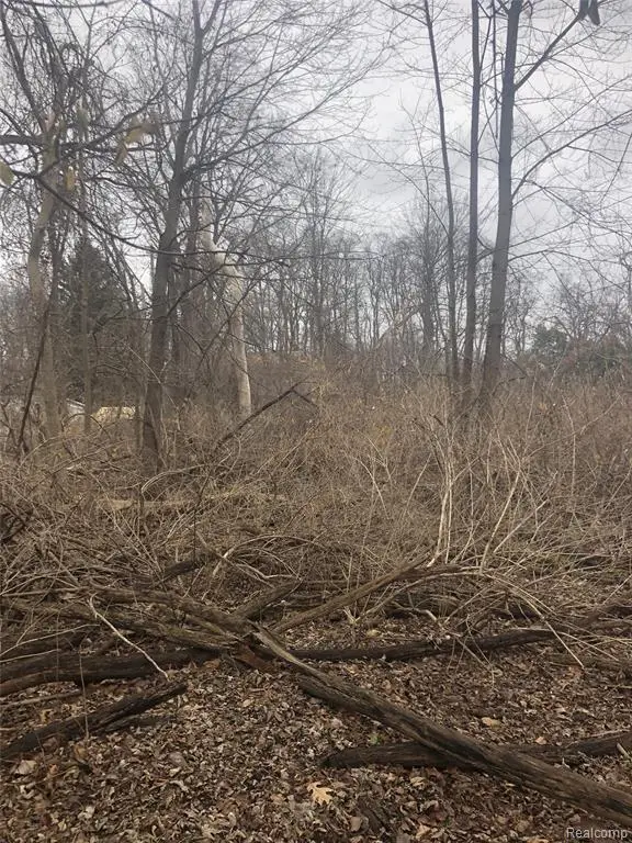 0 Massena, Commerce Township, MI 48382 - #3