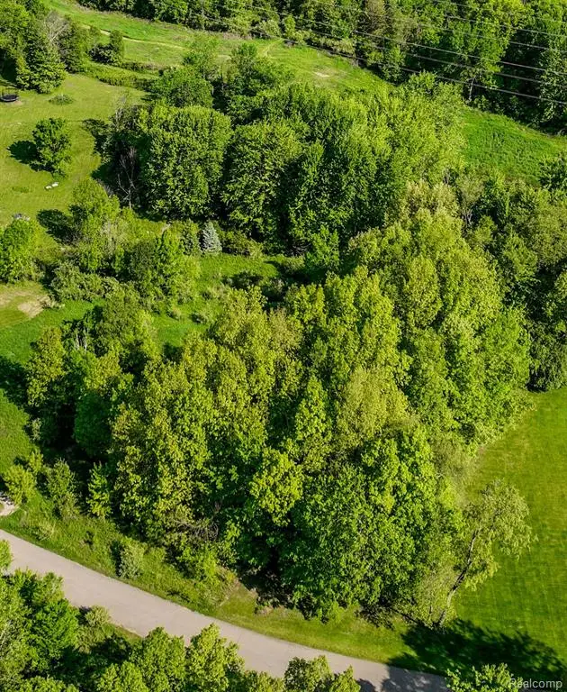 260 Coyote Run, Holly, MI 48442 - #3