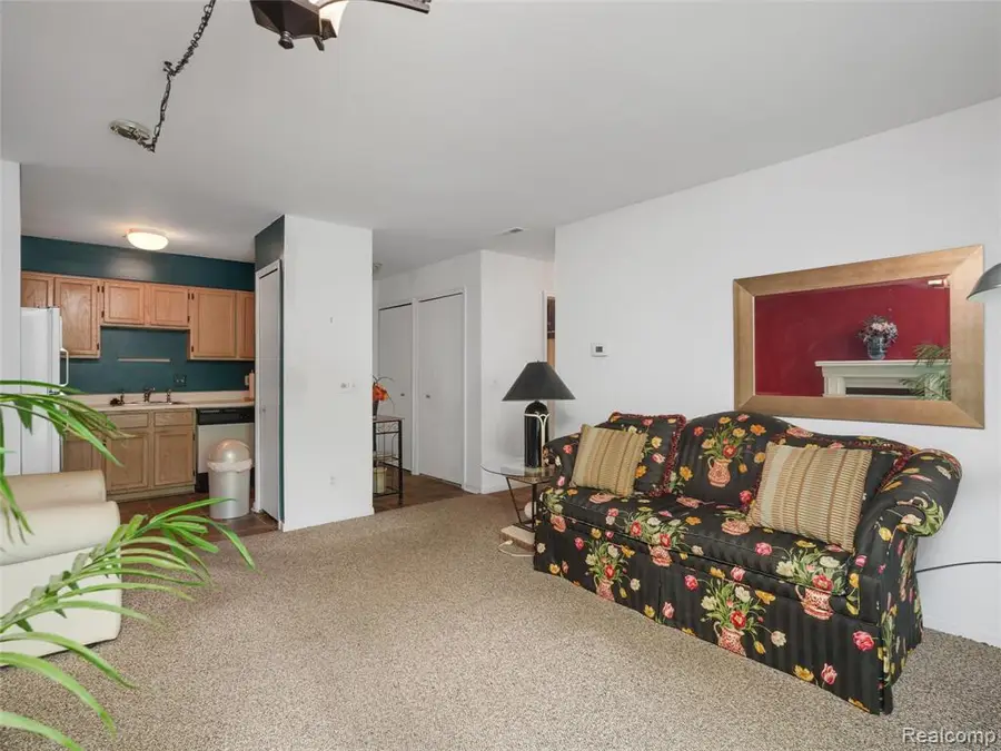 1127 S Lake #206, Novi, MI 48377 - #3