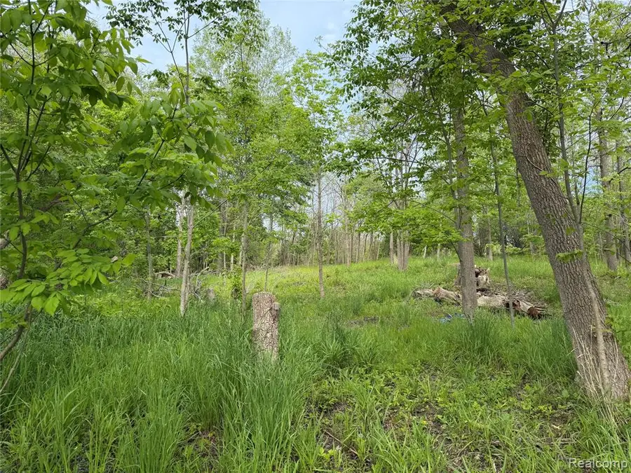 9200 Perry, Atlas, MI 48411 - #2