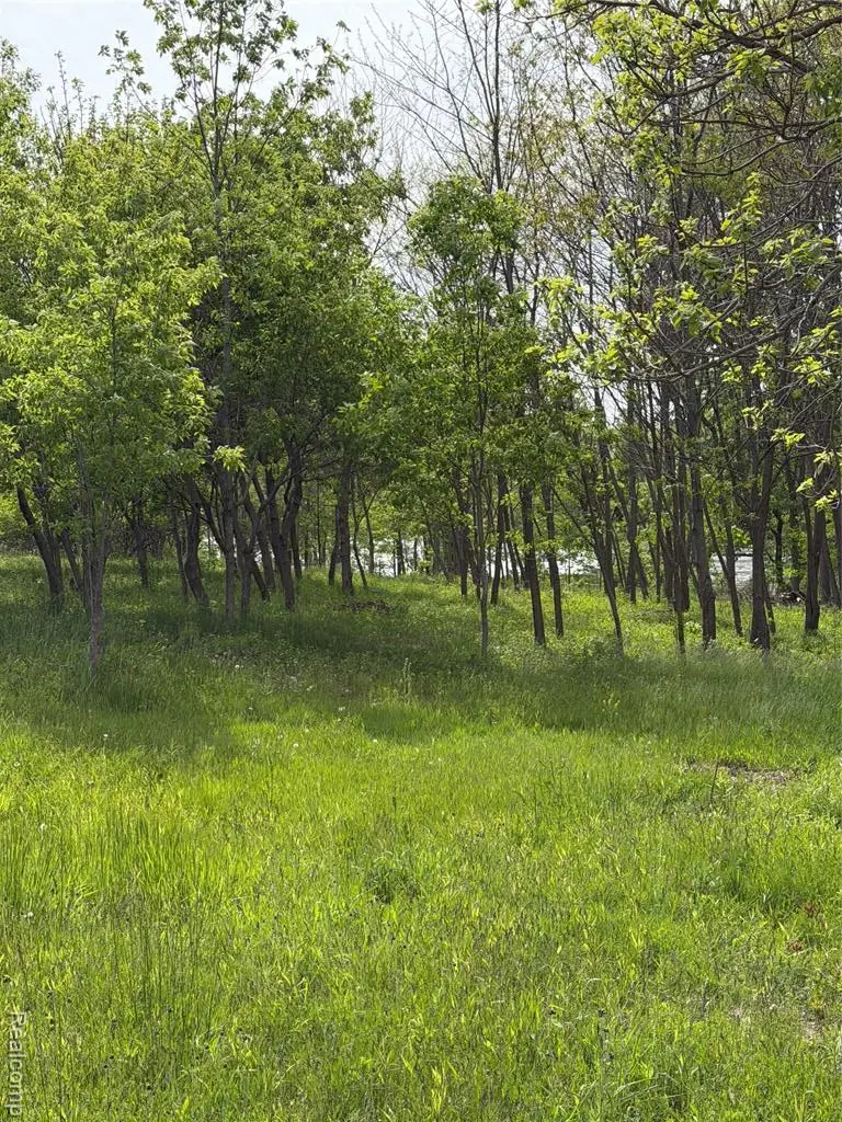 9200 Perry, Atlas, MI 48411 - #3
