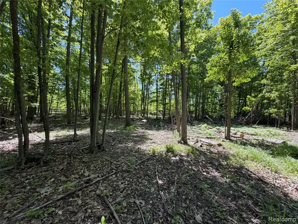 00 Dudley, Brown City, MI 48416