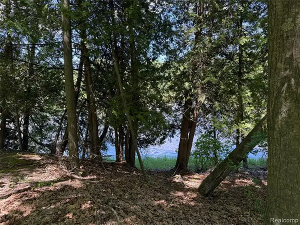 19672 Indian Drive, Paris, MI 49338