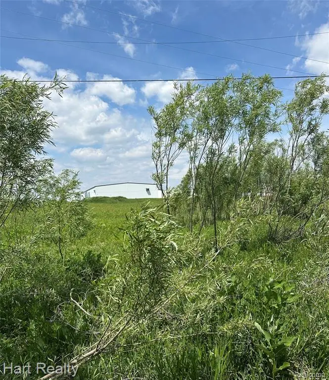 00 S Main, Marlette, MI 48453 - #2